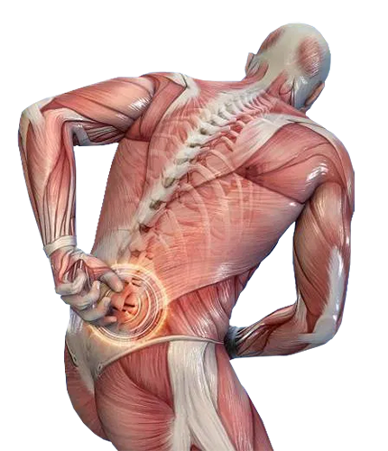 Back Muscle Strain Top Spine Specialists Boca Raton Spine Center